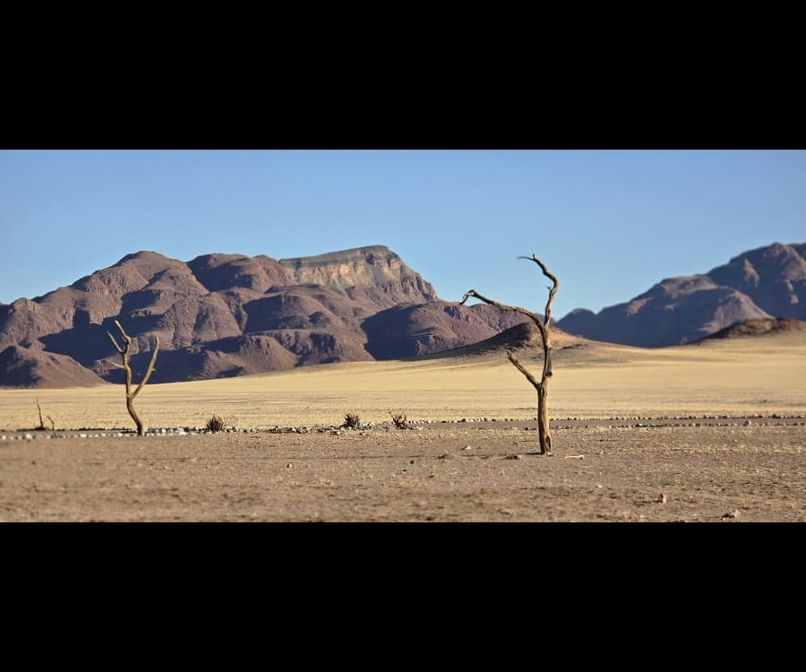 Nature 4